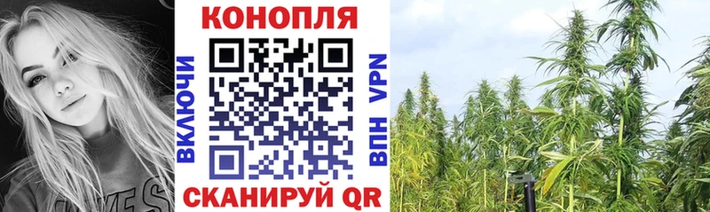 Шишки марихуана MAZAR  где купить наркоту  Рыбинск 